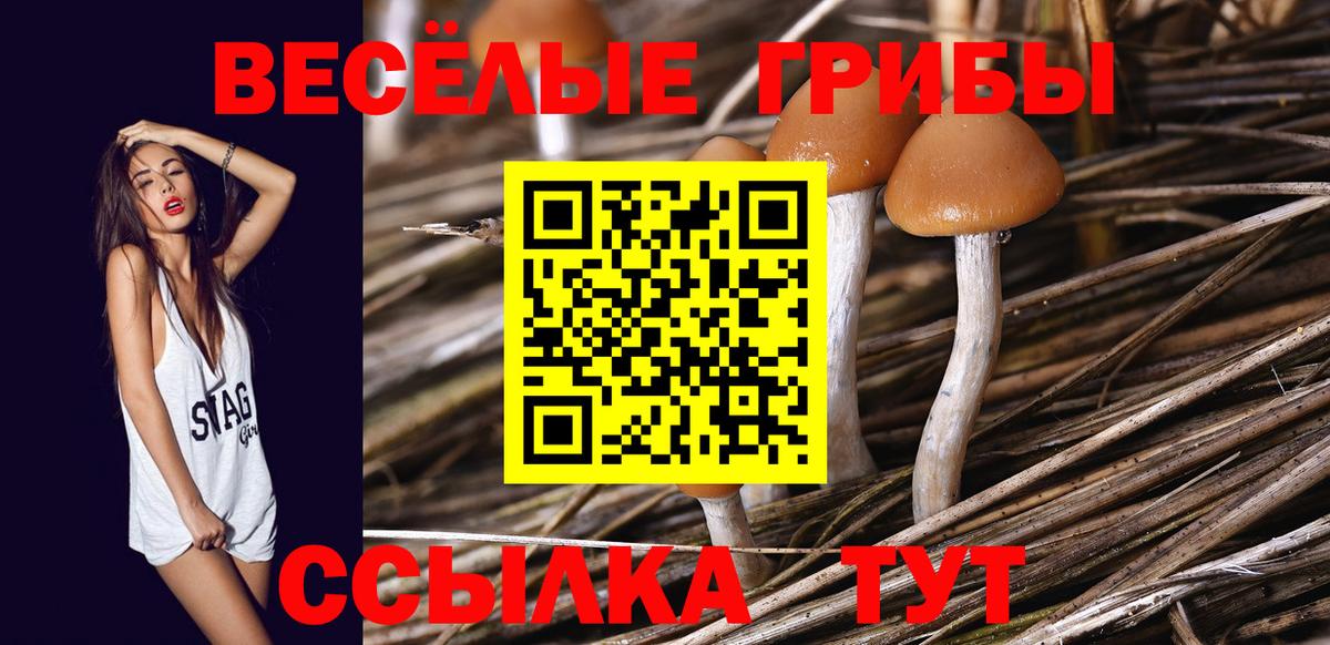 Галлюциногенные грибы MAGIC MUSHROOMS  Вход с VPN  Кызыл 